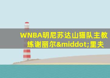 WNBA明尼苏达山猫队主教练谢丽尔·里夫