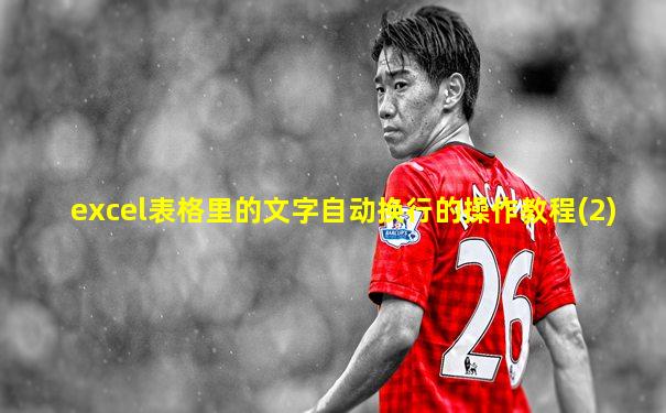 excel表格里的文字自动换行的操作教程(2)