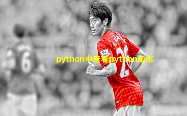 python中查看python版本