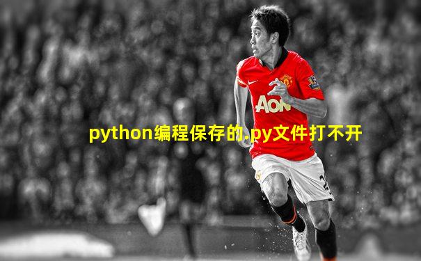 python编程保存的.py文件打不开