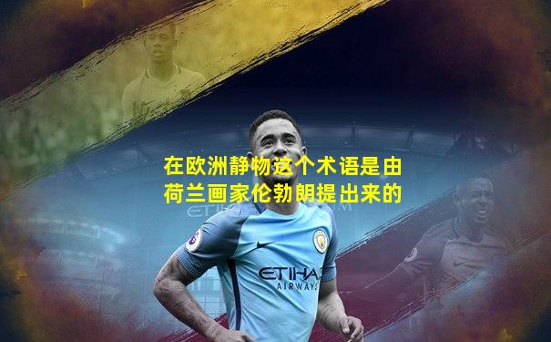 在欧洲静物这个术语是由荷兰画家伦勃朗提出来的
