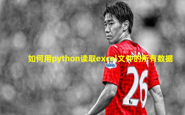 如何用python读取excel文件的所有数据