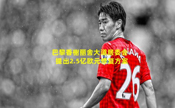 巴黎香榭丽舍大道居委会提出2.5亿欧元修复方案