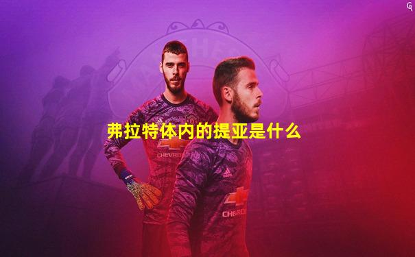 弗拉特体内的提亚是什么