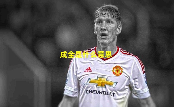 成全是什么意思