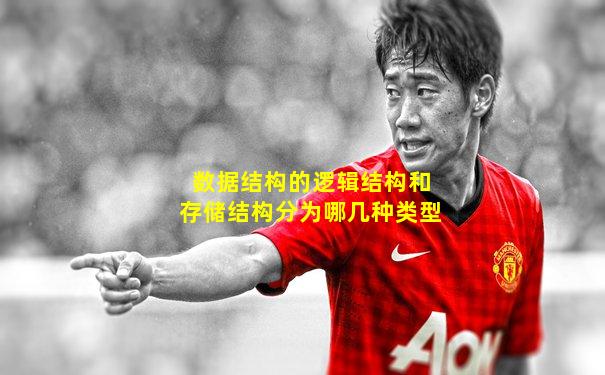 数据结构的逻辑结构和存储结构分为哪几种类型