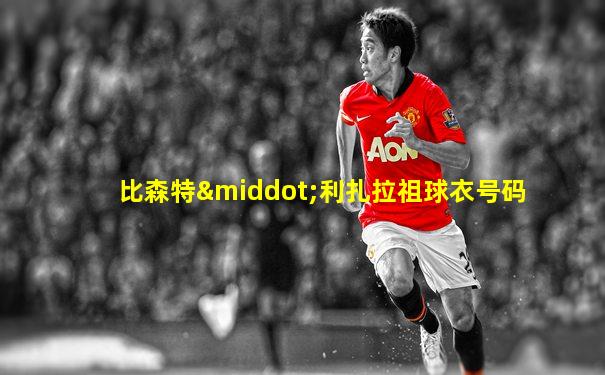 比森特·利扎拉祖球衣号码