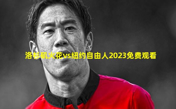 洛杉矶火花vs纽约自由人2023免费观看