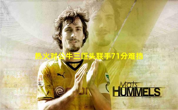 热火对公牛三巨头联手71分难挡