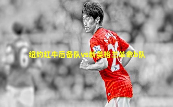 纽约红牛后备队vs新英格兰革命b队