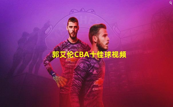 郭艾伦CBA十佳球视频